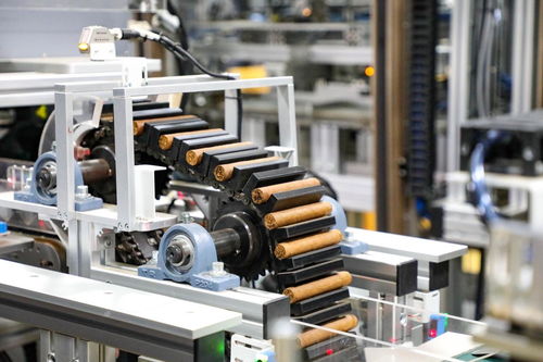 以科技創新為新質生產力發展蓄勢賦能——信息科技領域技術開發的前景與路徑