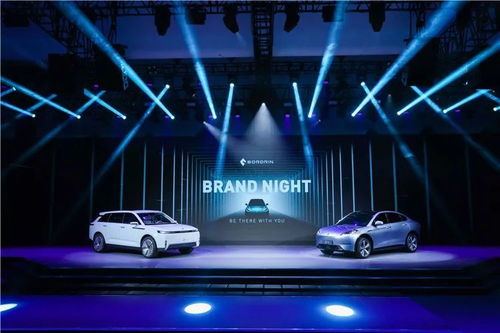 眾泰復興之路 新勢力能否以信息科技賦能技術開發？